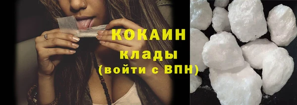 крисы Няндома