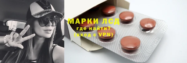 прущие грибы Осташков
