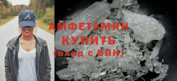 прущие грибы Осташков