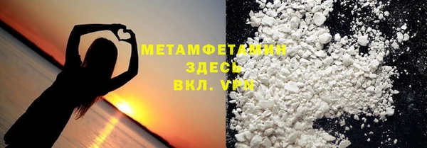 прущие грибы Осташков