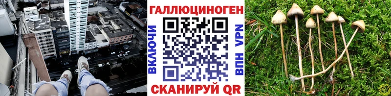 Псилоцибиновые грибы мицелий  MEGA маркетплейс  Артёмовский 
